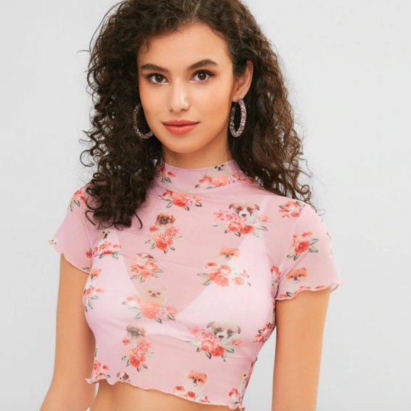 Urban Outfitters Tops - Puppies and Roses Mesh Crop Top